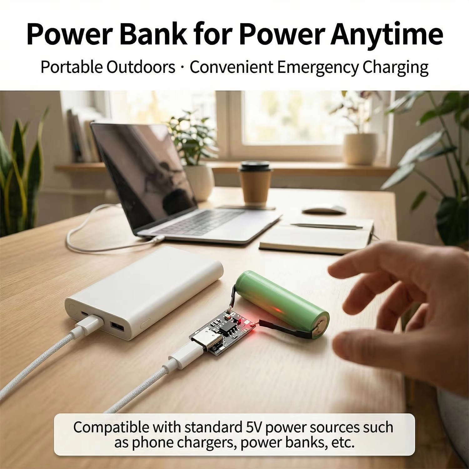 Type-C Charging Board with Pro - Li Ion Charger Module 评论和价格